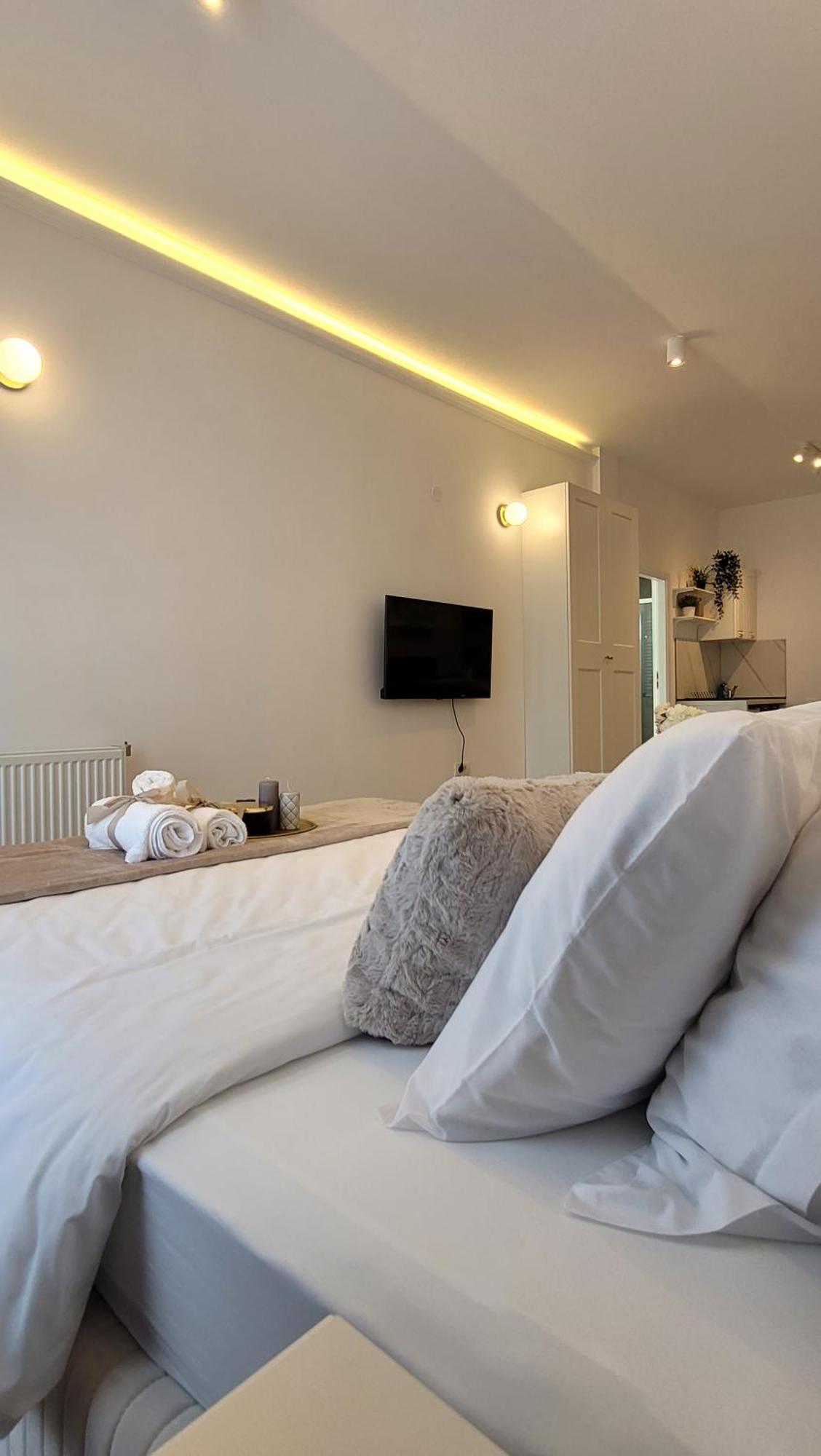 Apartament Luxury Mansion Bukareszt Zewnętrze zdjęcie